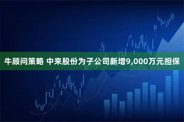 牛顾问策略 中来股份为子公司新增9,000万元担保