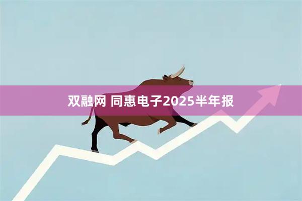 双融网 同惠电子2025半年报