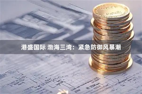 港盛国际 渤海三湾:紧急防御风暴潮